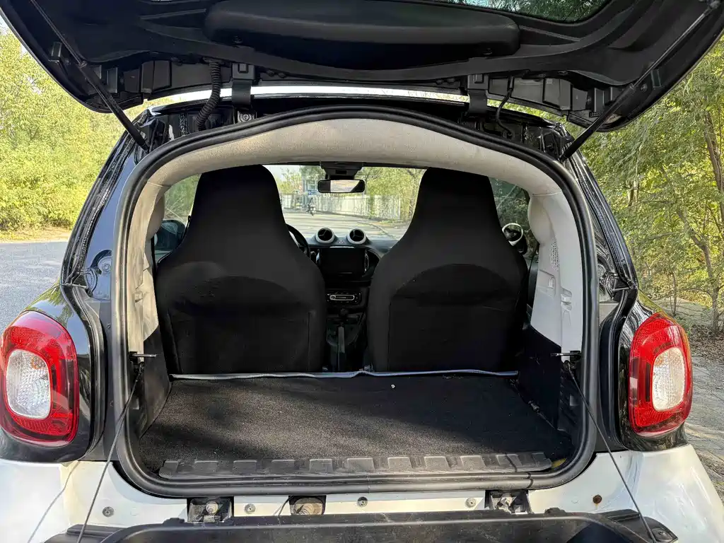 smart Smart Fortwo — миниатюра 14