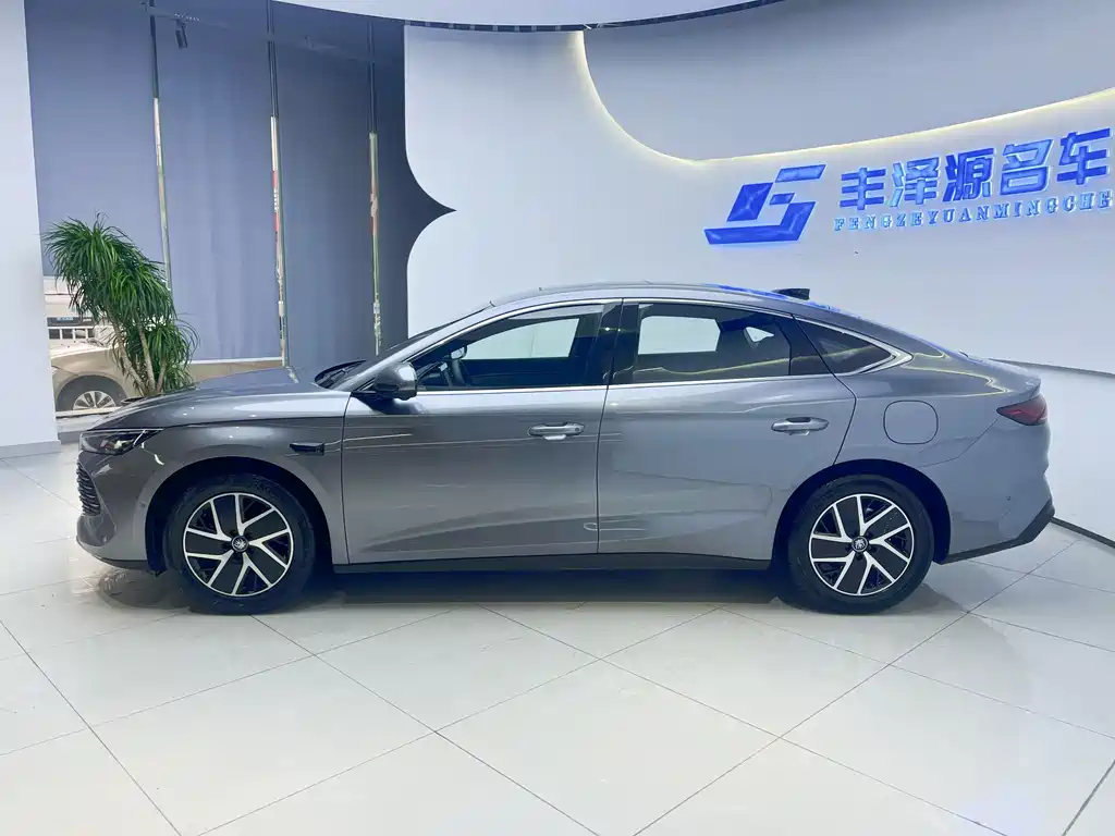 BYD QIN L