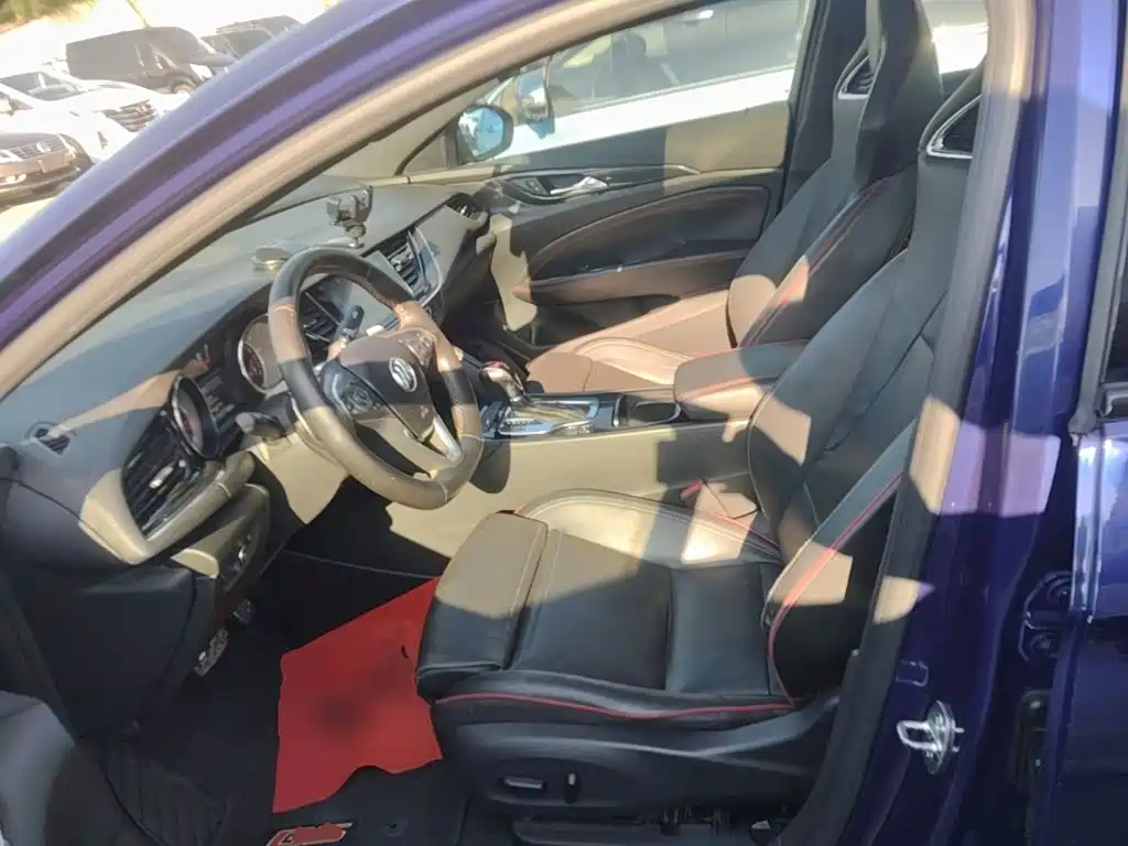 Buick Regal — миниатюра 15
