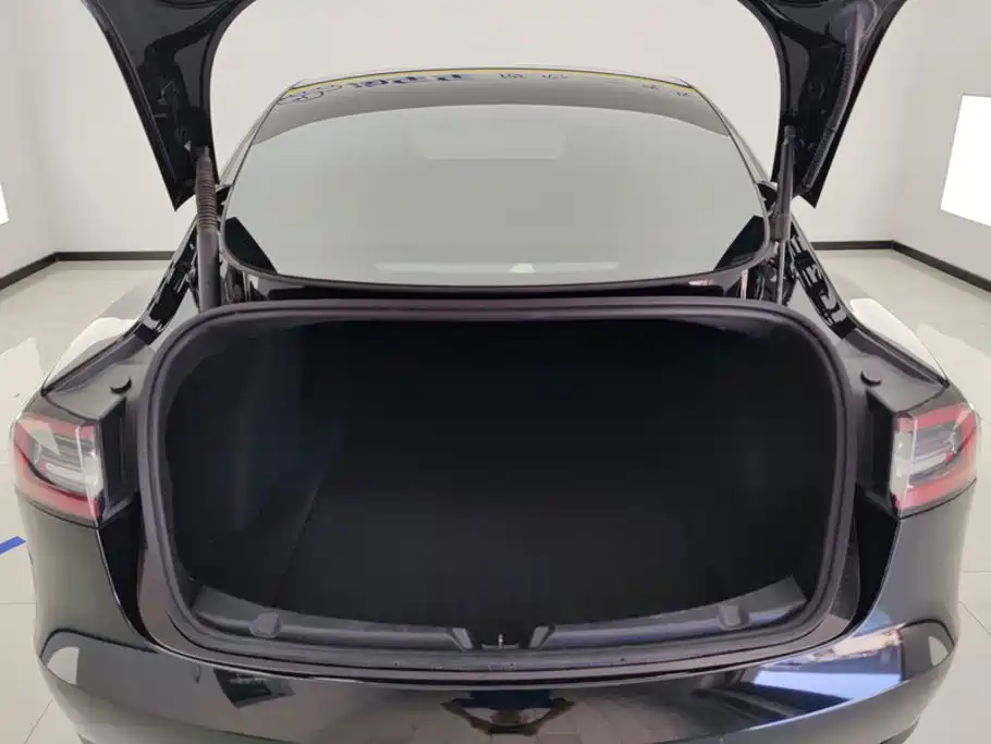 Tesla Model 3 — миниатюра 4