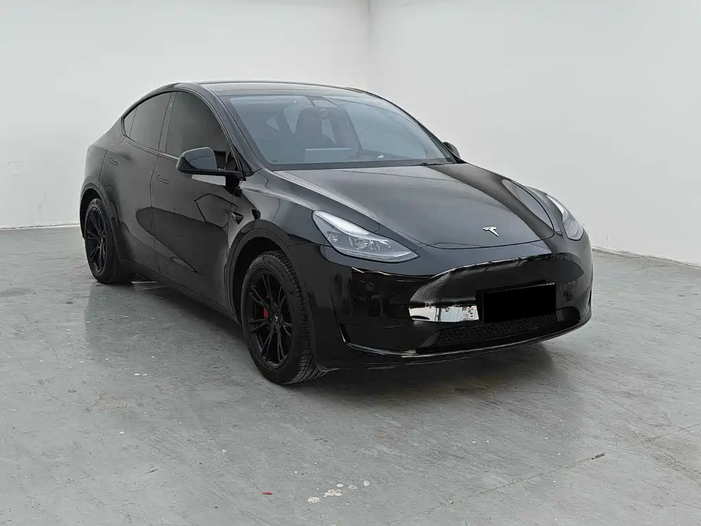 Tesla Model Y — миниатюра 3