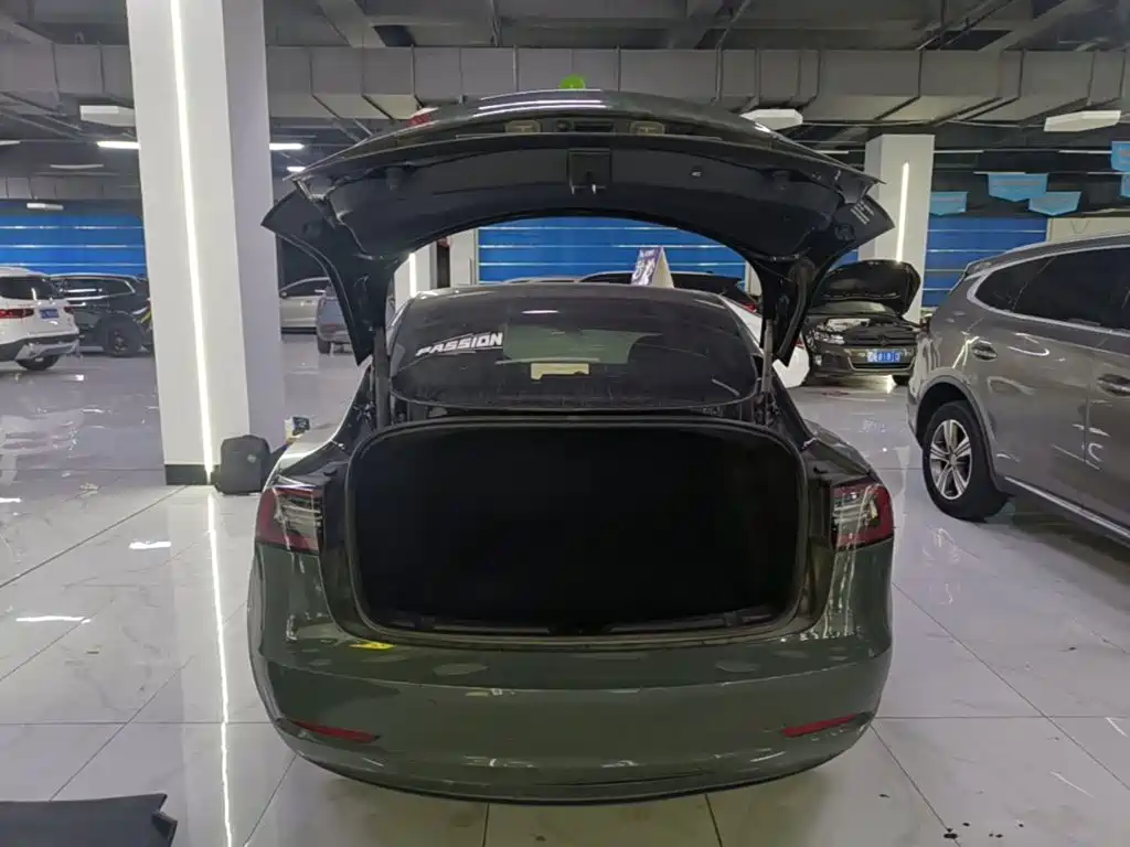 Tesla Model 3 — миниатюра 19