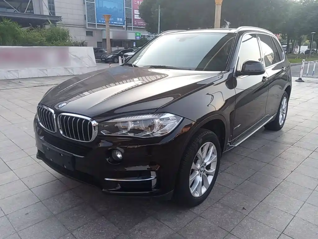BMW X5 (Import) — миниатюра 2
