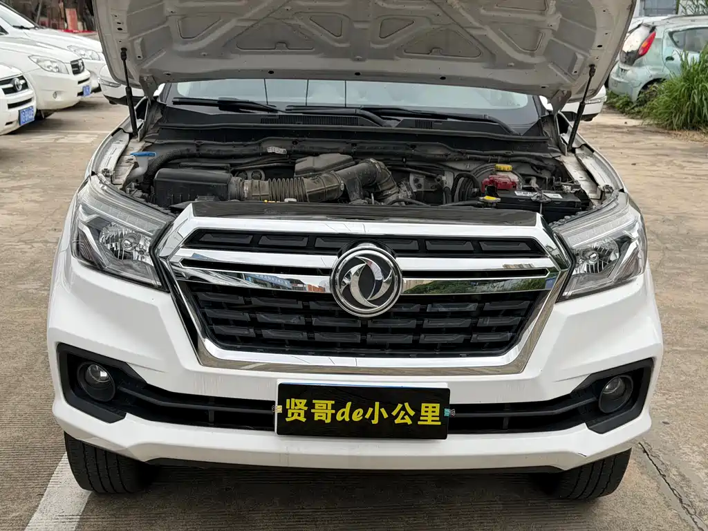 Dongfeng Rich — миниатюра 11