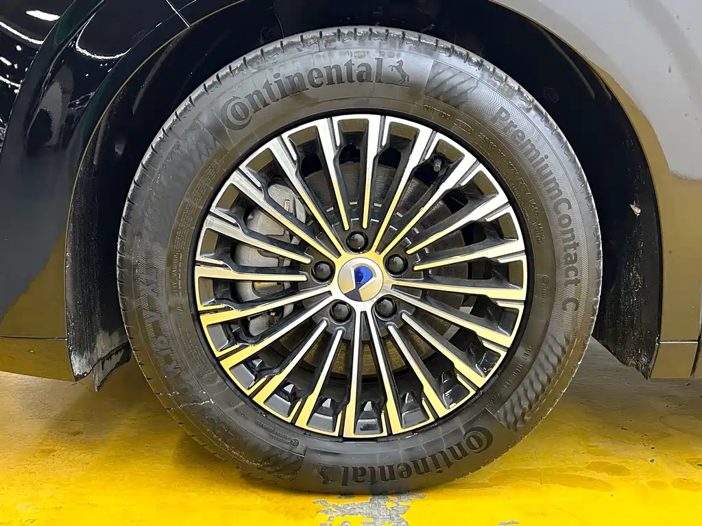 Denza Denza D9 — миниатюра 10