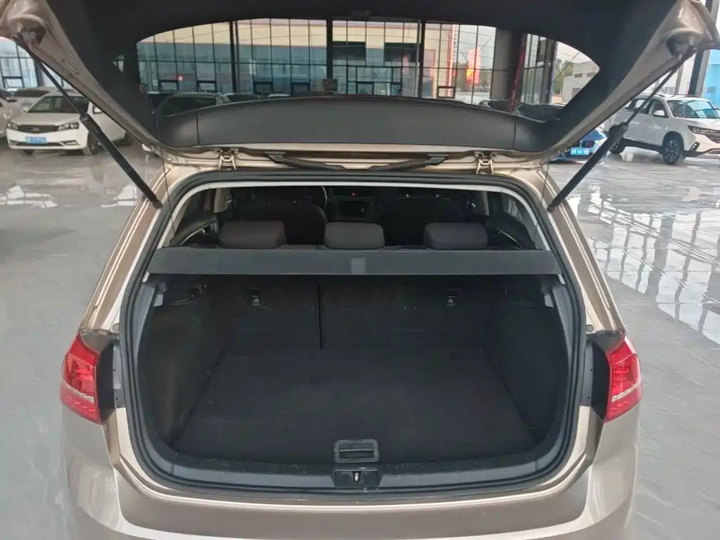 Volkswagen Golf — миниатюра 19