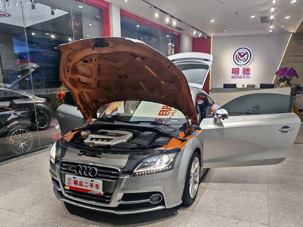 AUDI TTS