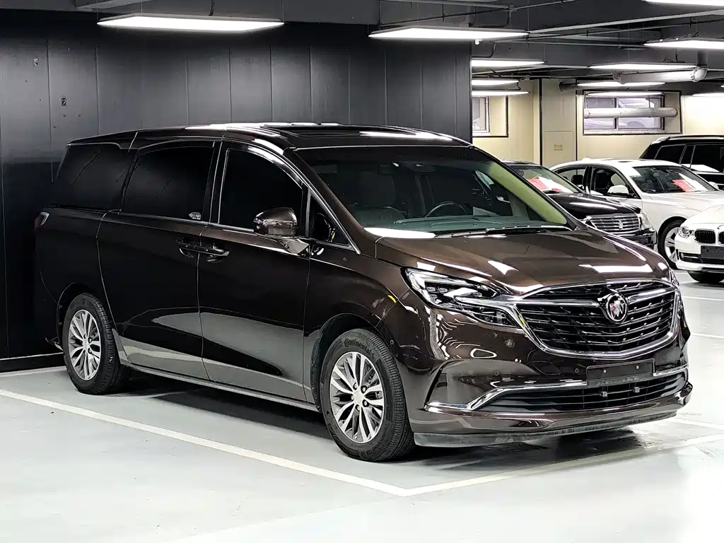 Buick GL8 — миниатюра 3