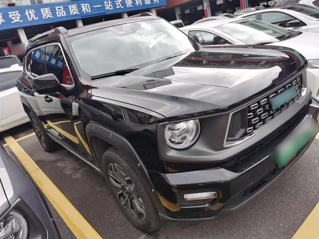 HAVAL  SECOND GENERATION BIG DOG NEW ENERGY