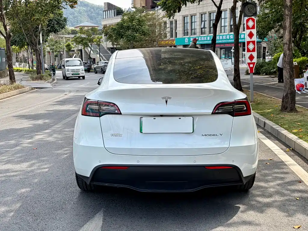 Tesla Model Y — миниатюра 9