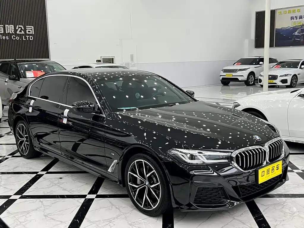 BMW 5 Series — миниатюра 3