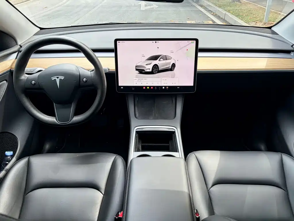 Tesla Model Y — миниатюра 4