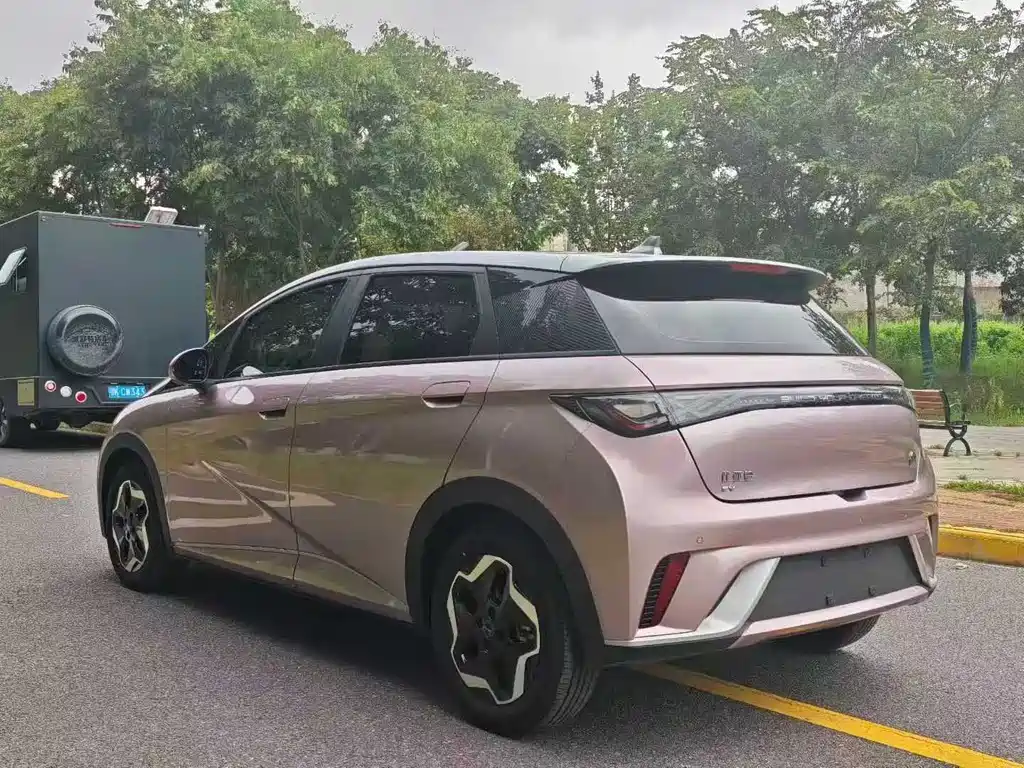 BYD Dolphin 2021 405km Fashion