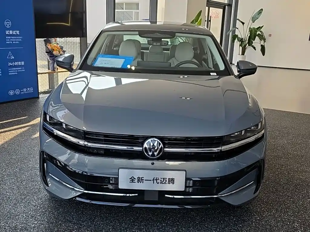 Volkswagen Magotan — миниатюра 2