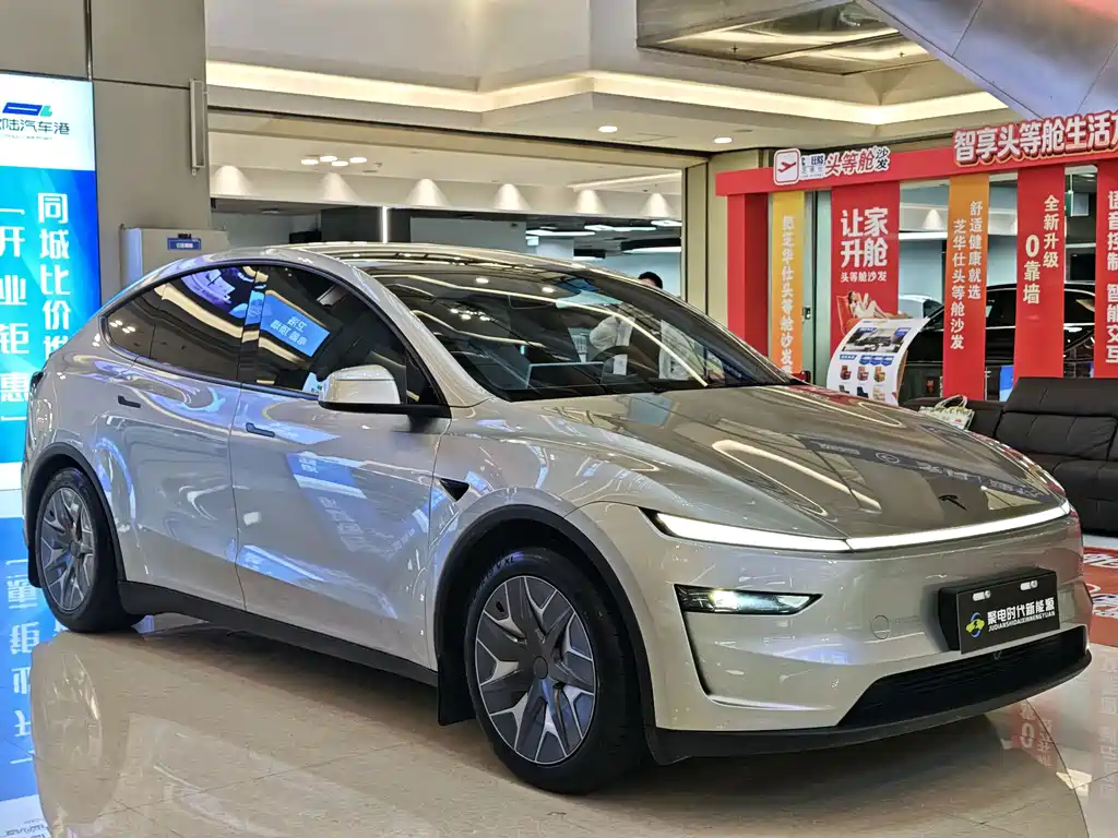 Tesla Model Y L — миниатюра 3