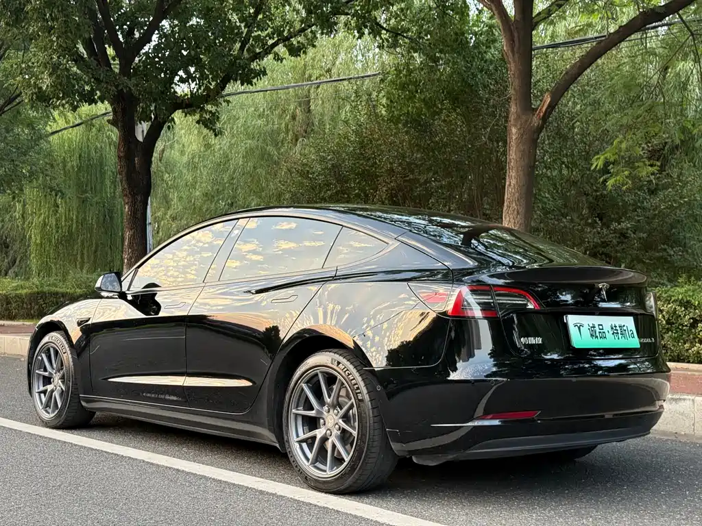 Tesla Model 3 — миниатюра 3