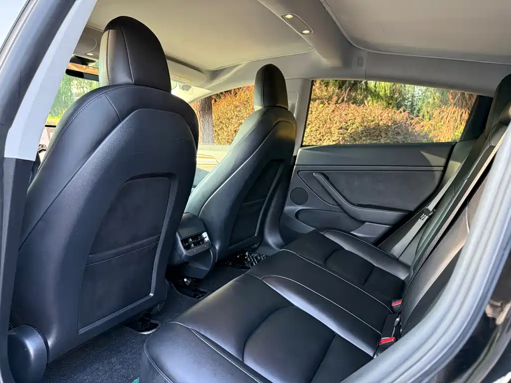 Tesla Model 3 — миниатюра 12
