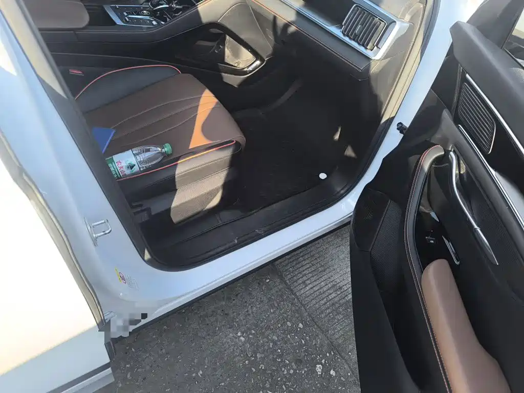 BYD PLUS — миниатюра 19