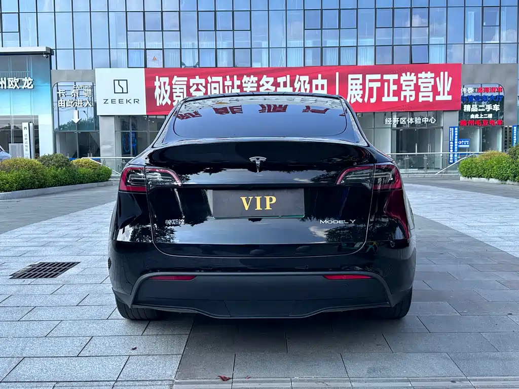 Tesla Model Y — миниатюра 5