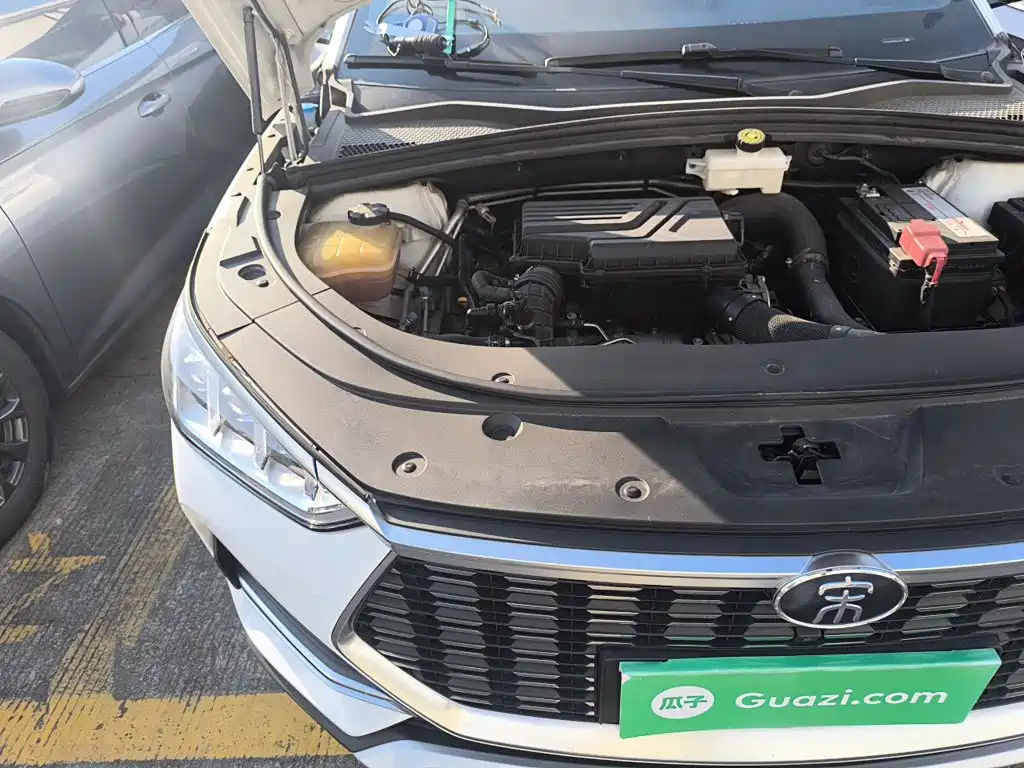 BYD PLUS — миниатюра 20