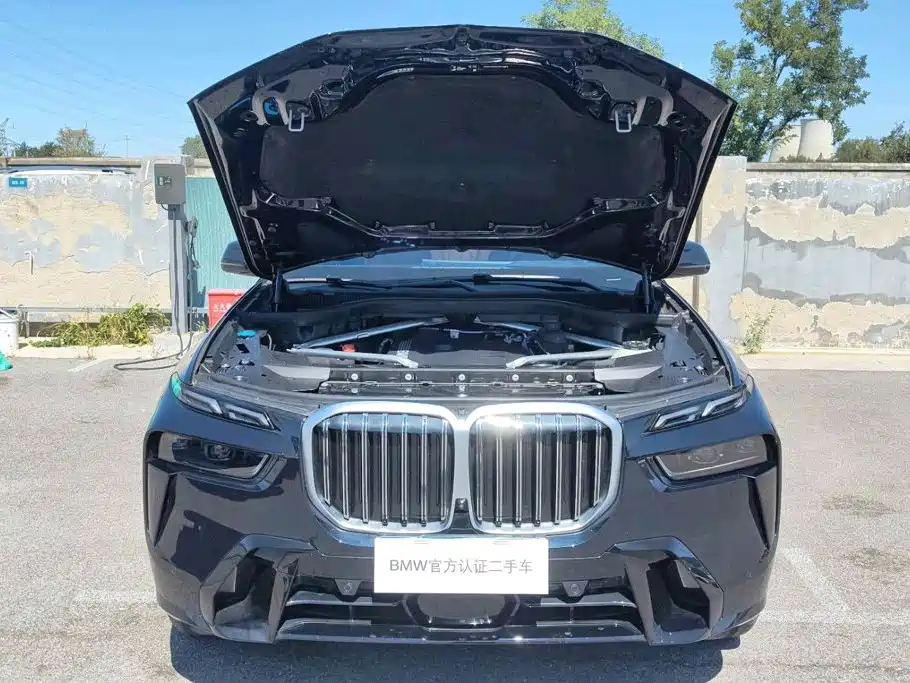 BMW X7 — миниатюра 13