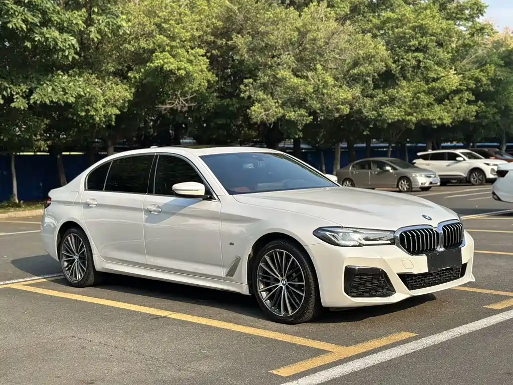 BMW 5 Series — миниатюра 3