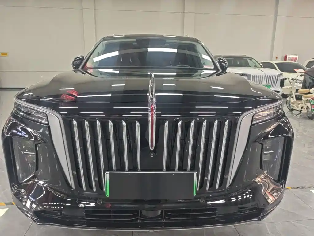 Hongqi Hongqi E-HS9 — миниатюра 3