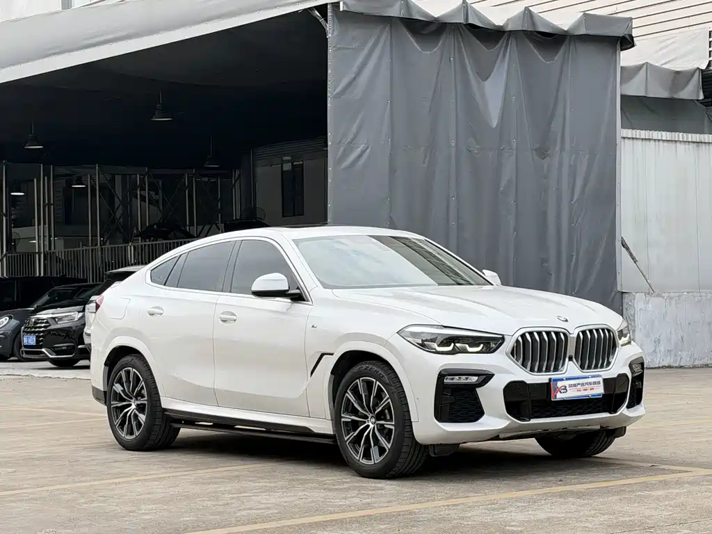 BMW X6 — миниатюра 4