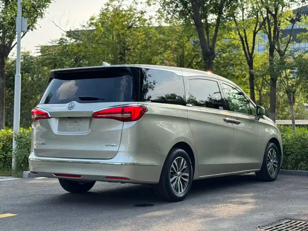 Buick GL8 2018 ES 28T Luxury VI