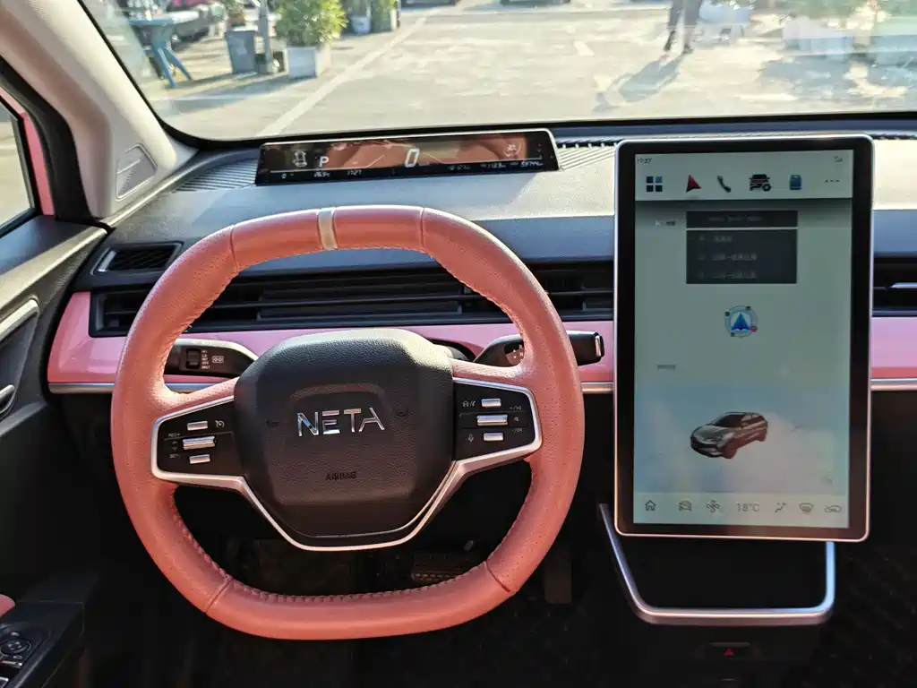 Neta Neta V — миниатюра 13