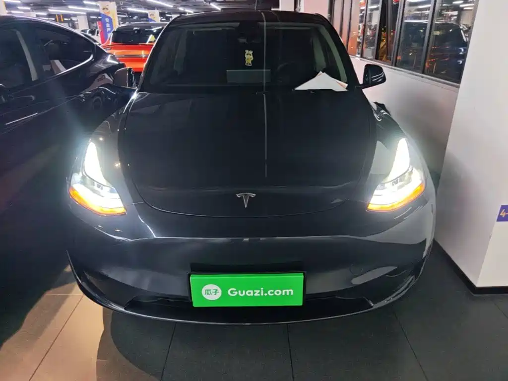 Tesla Model Y — миниатюра 3