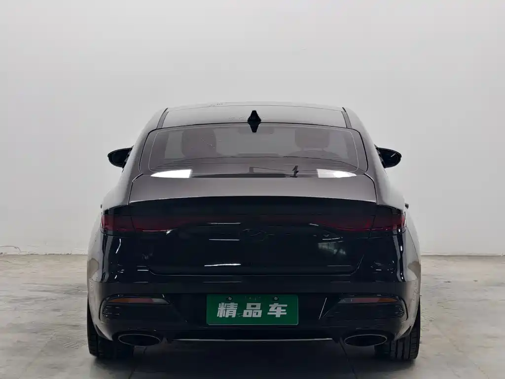 Hyundai Fista — миниатюра 5
