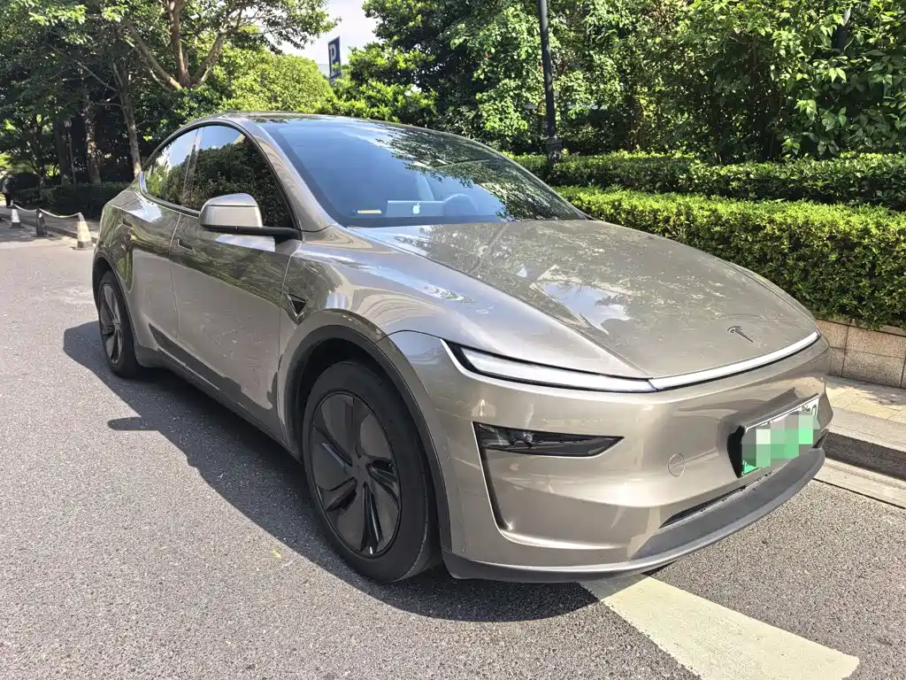 Tesla Model Y — миниатюра 3
