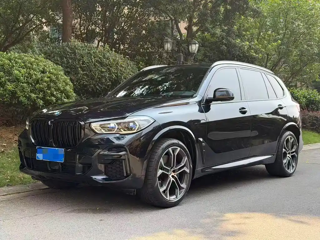 BMW X5 — миниатюра 2