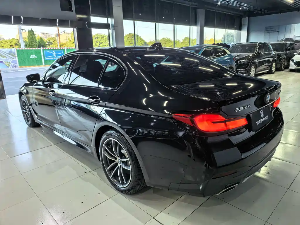 BMW 5 Series — миниатюра 5