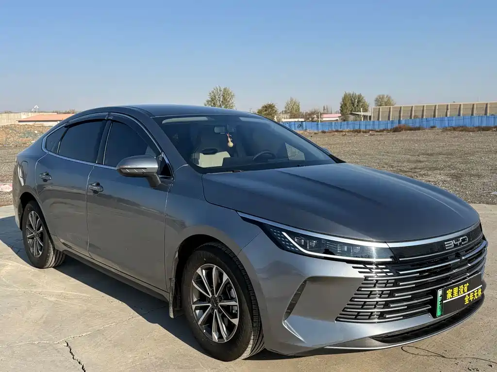 BYD Destroyer 05 — миниатюра 3
