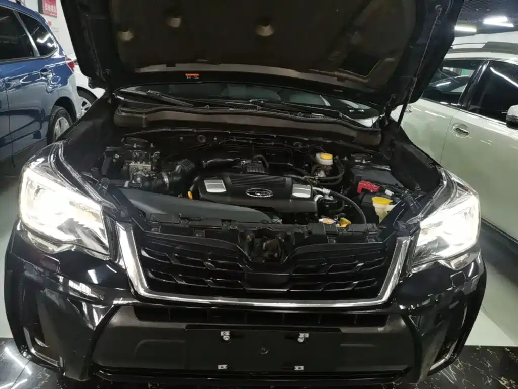 Subaru Forester — миниатюра 20