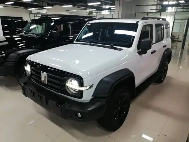 2022 TANK 300