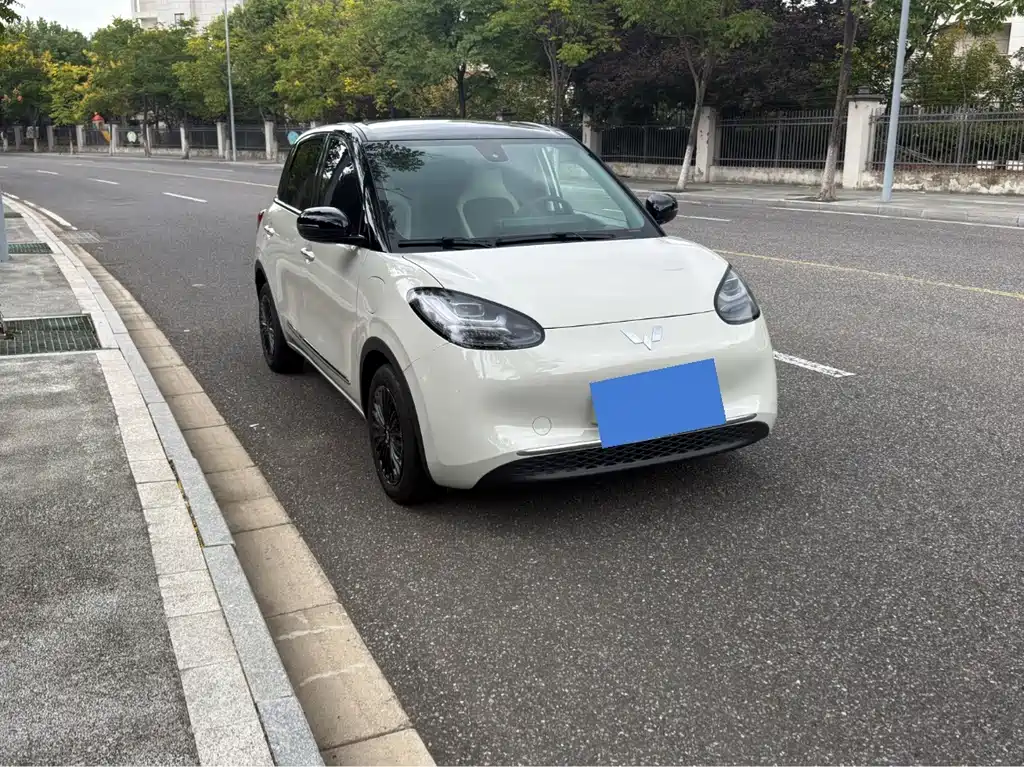 Wuling Bingo — миниатюра 6