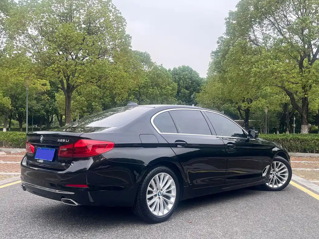 BMW 5 Series 5 2020 525Li Luxury