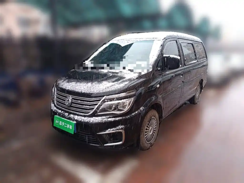 Fengxing Lingzhi 2020
