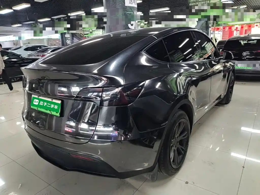 Tesla Model Y — миниатюра 7