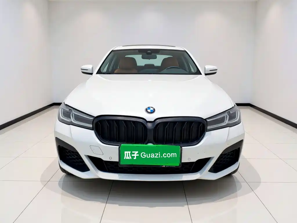 BMW 5 Series New Energy — миниатюра 2