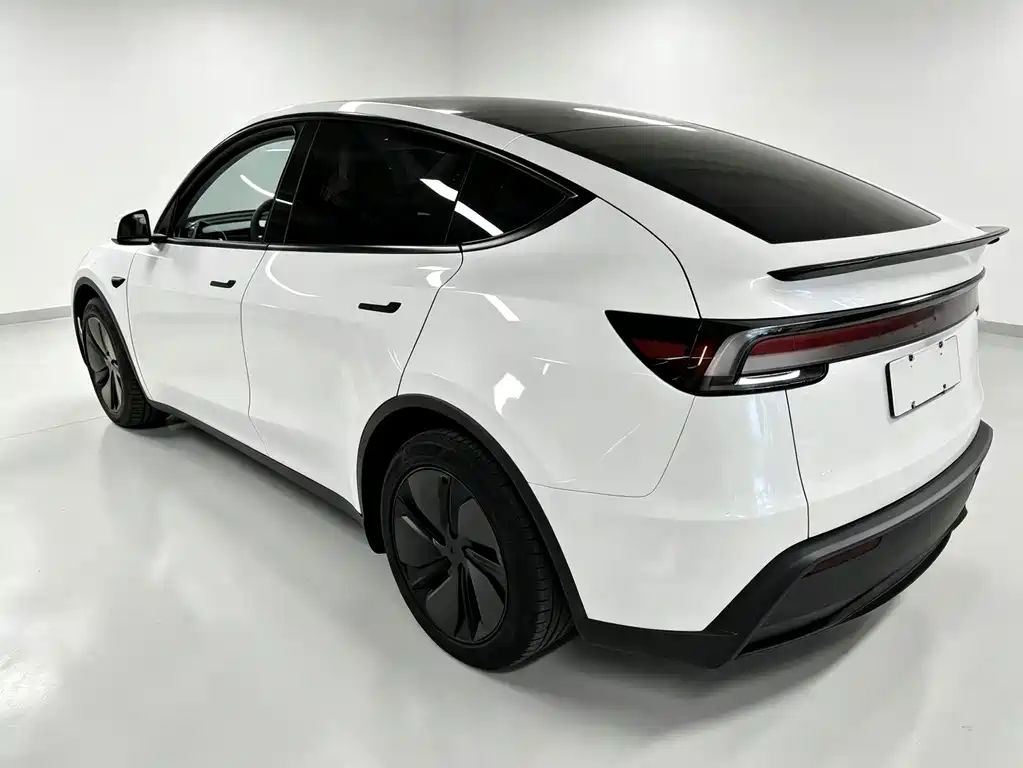 Tesla Model Y — миниатюра 3