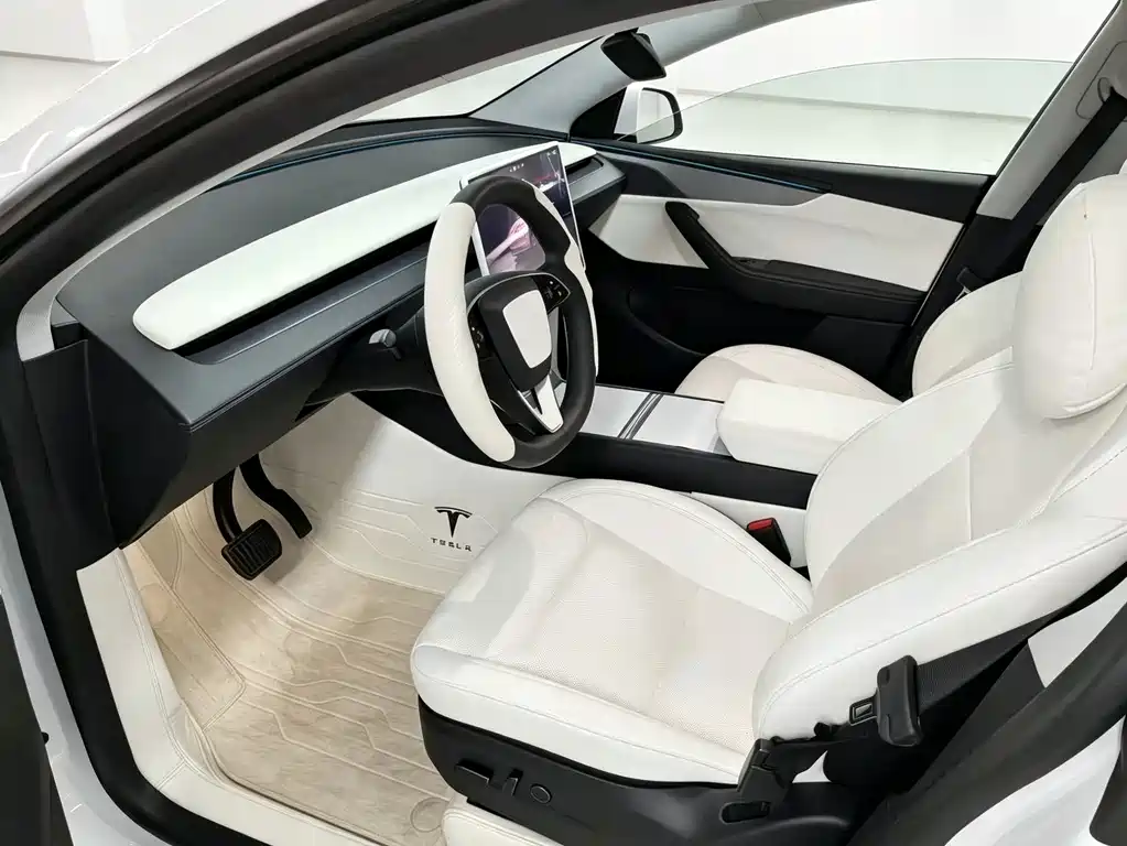Tesla Model Y — миниатюра 4