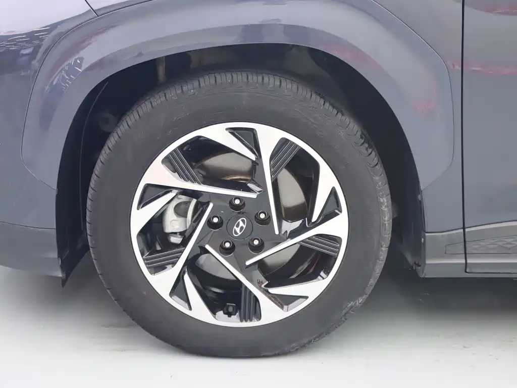 Hyundai Custo — миниатюра 4