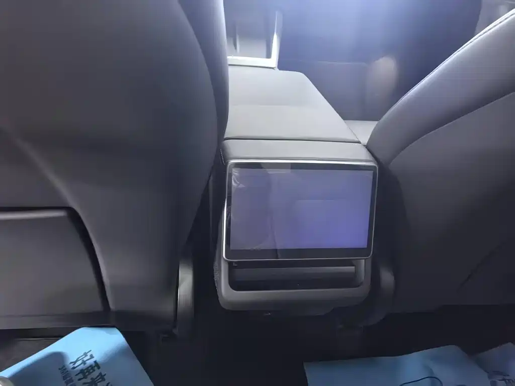 Tesla Model Y — миниатюра 11