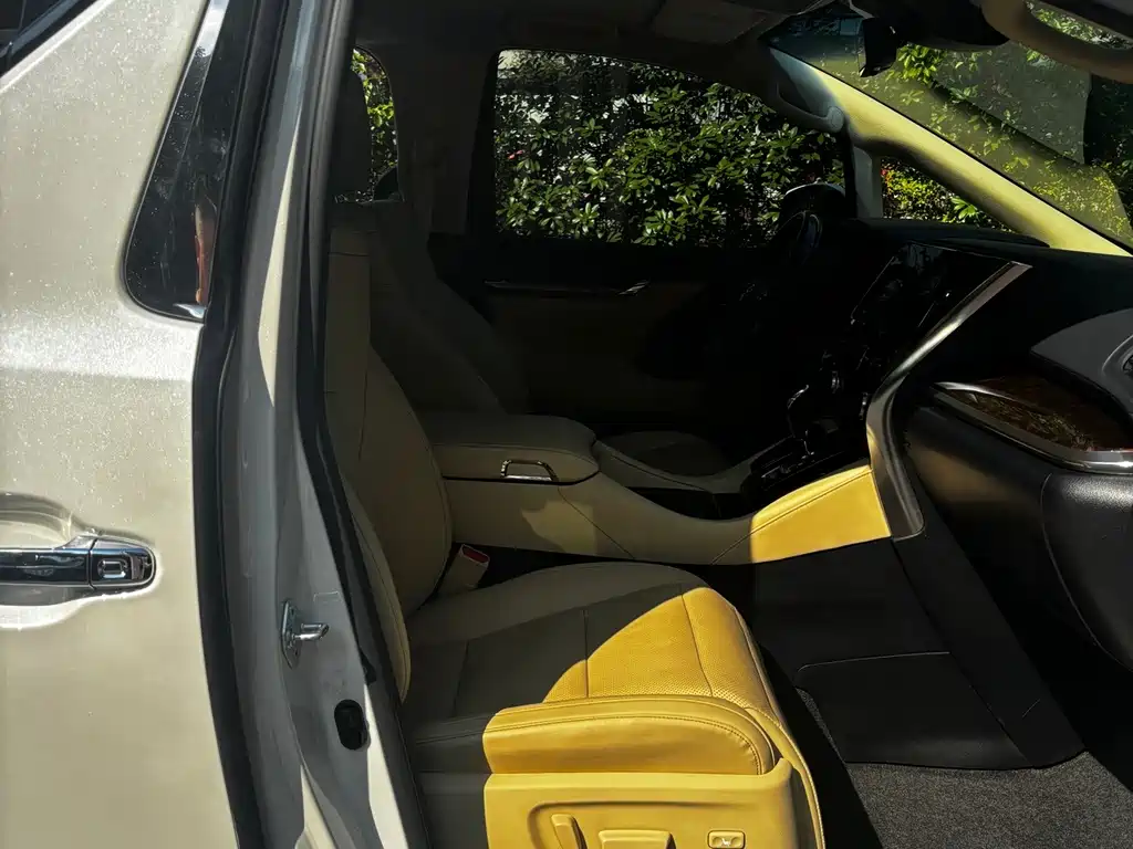 Toyota Alphard — миниатюра 17