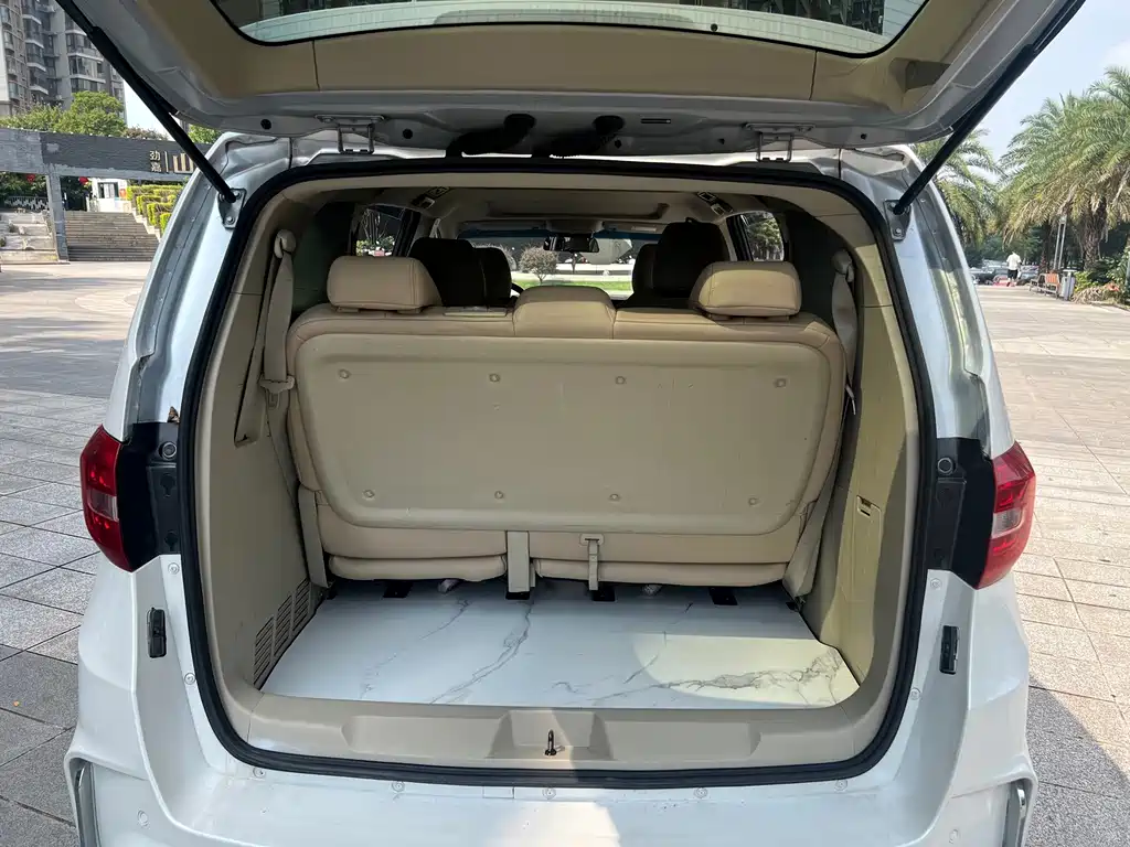 Buick GL8 — миниатюра 16