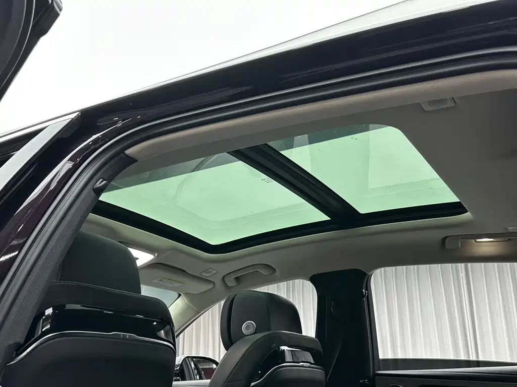 Hongqi Hongqi H9 — миниатюра 13